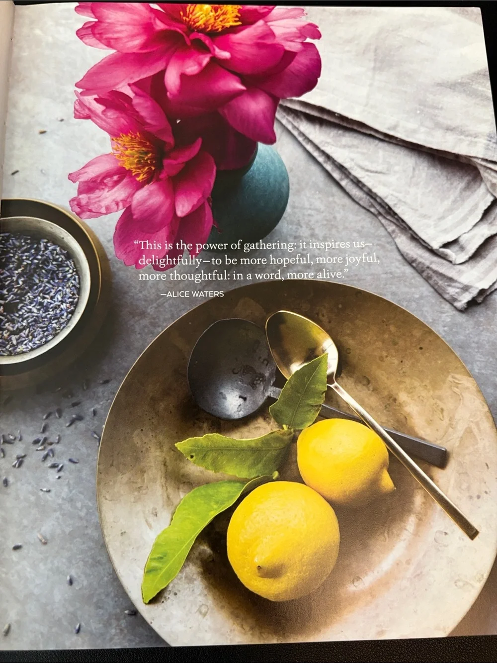 N/A celebrations cookbook